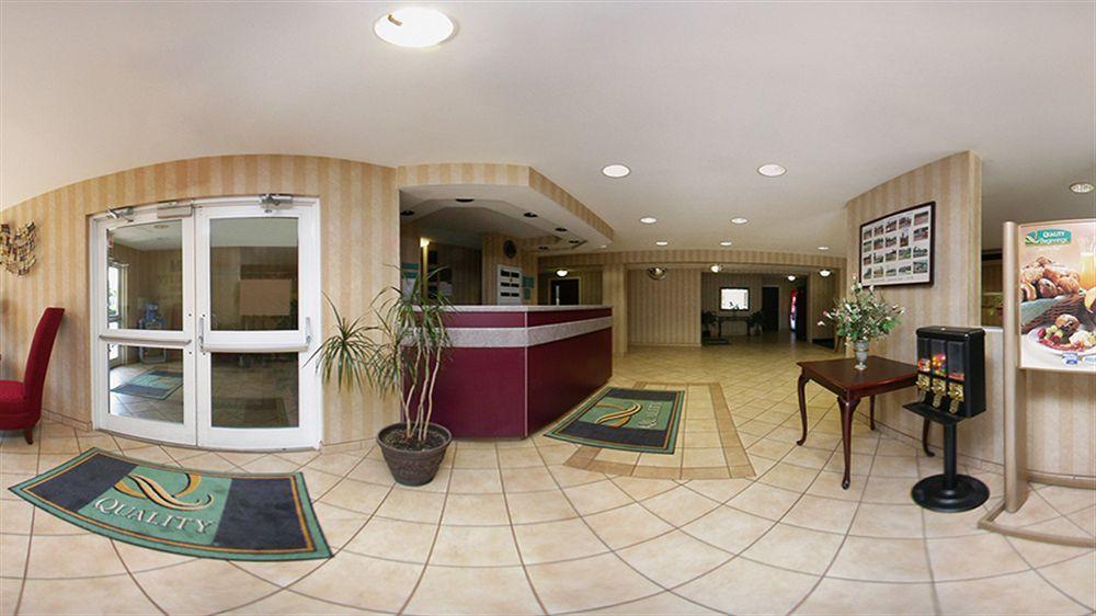 Quality Inn Chester - South Richmond Esterno foto